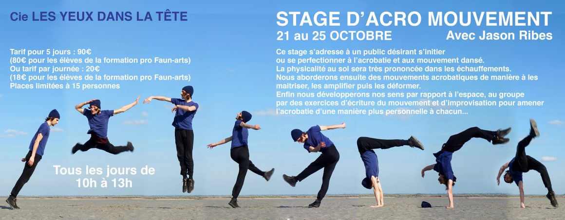 Stage – Acrobatie / mouvement – Jason Ribes
